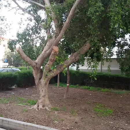 Lca2 Flat For You Apartment *