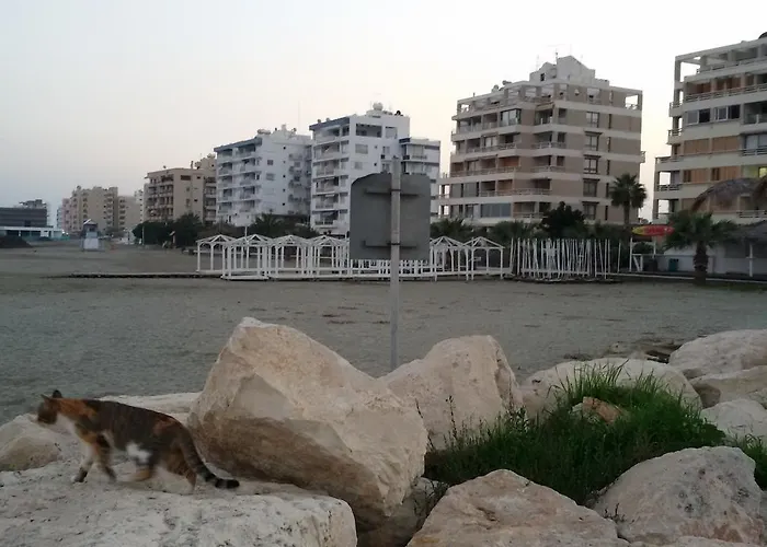 Апартаменты Lca2 Flat For You