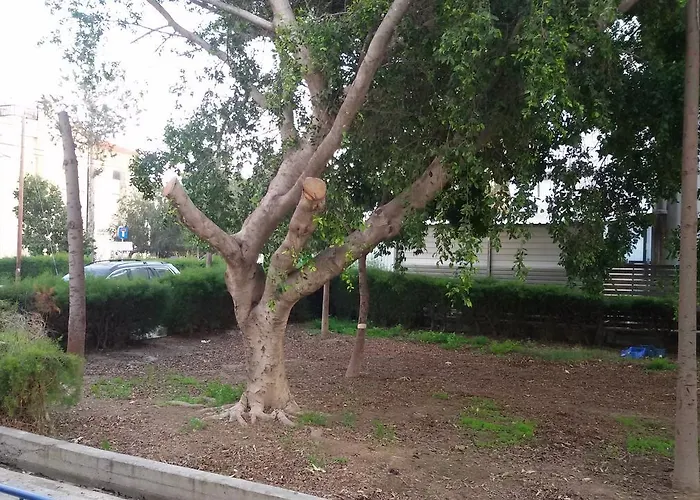 Lca2 Flat For You Appartement *